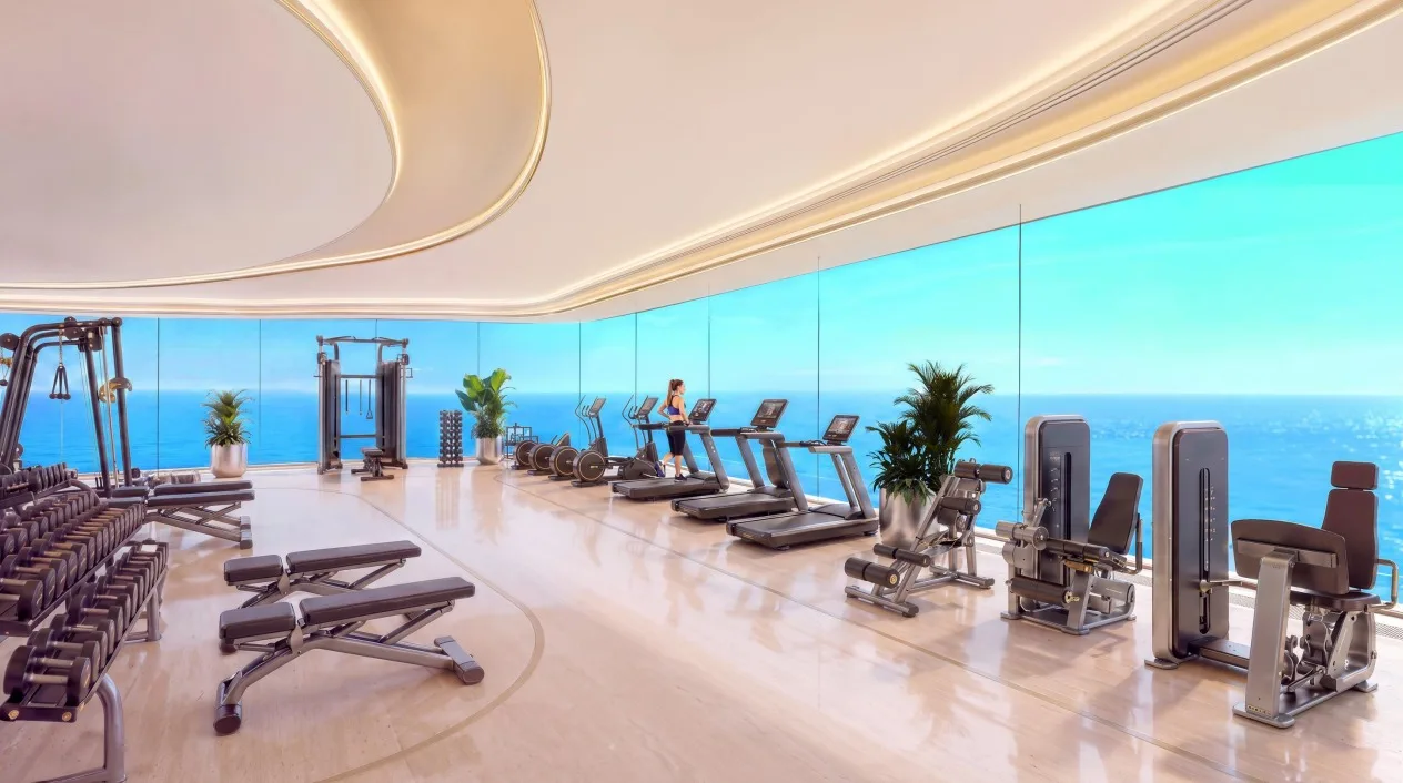 Shahrukhz Residences by Danube — gym with sea views